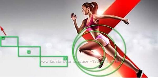 Основы прикладной кинезиологии в сфере фитнеса Кущик