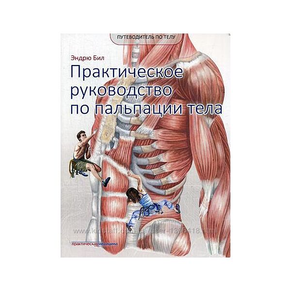 Эндрю Бил Практическое руководство по пальпации тела Атлас триггерных точек