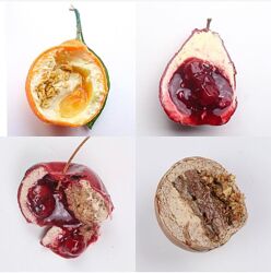 Рождественский курс по созданию набора пирожных Ксения Хохлова kscandymom