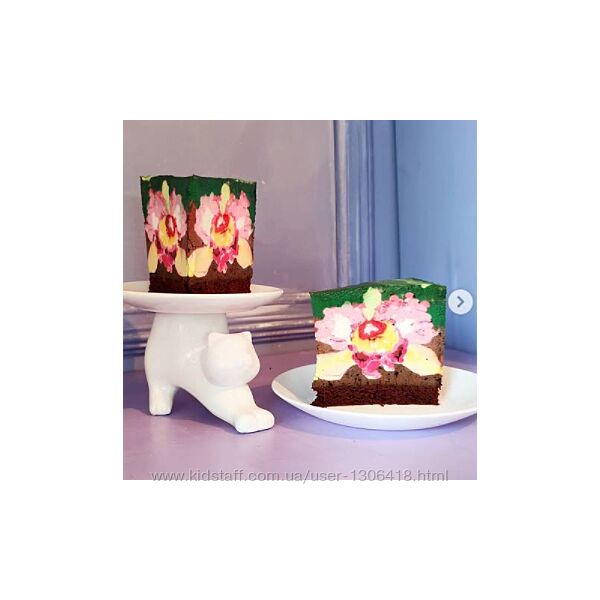 Мастер-класс и торты в технике cakeinside Евгения Кизленко Закат Орхидея