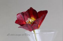 Курс весенний Татьяна Ефремова