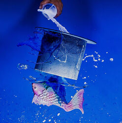 Торт-рыбка Роня Белова, Андрей Дубовик