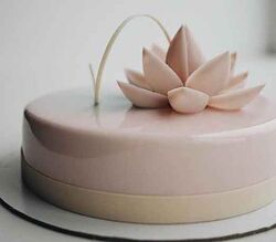 Новые рецептуры муссовых тортов Таня Силаева Базовый курс в подарок