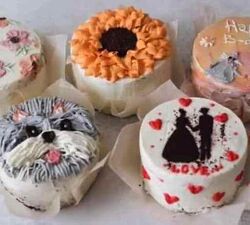 Курс по Бенто тортам 2021 Ирина Собченко