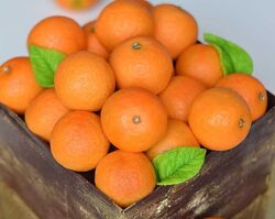 МК по торту Коробка с мандаринами latorte