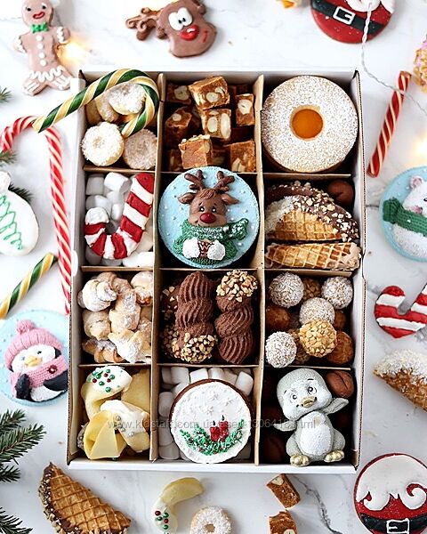 Большой новогодний курс 21/22 Ильзира Карагузина