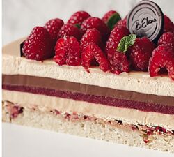 Сборник технологических карт муссовых тортов 2 Елена Богомолова