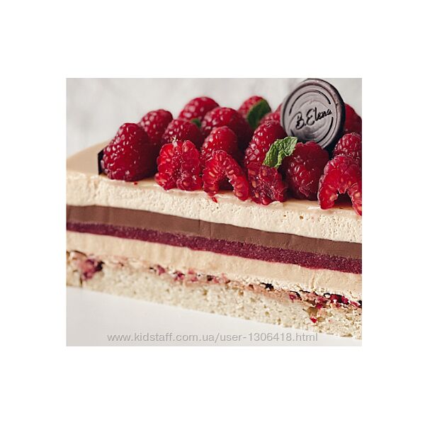 Сборник технологических карт муссовых тортов 2 Елена Богомолова