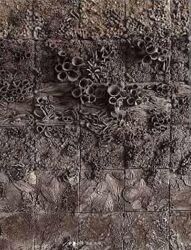 Вебинар Шоколадные текстуры cakeit nsk