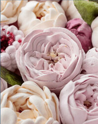 Полный комплект курсов плюс клуб Малиновка malinovka