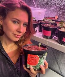 Анна Акинина 16 разных Декоративный огород Хвойные растения Плодовые дерев