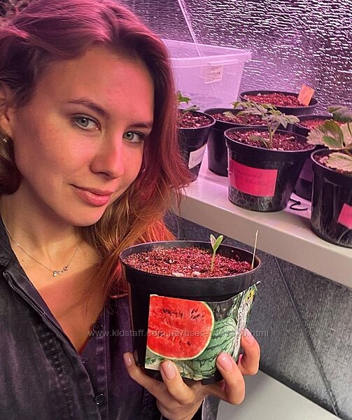 Анна Акинина 16 разных Декоративный огород Хвойные растения Плодовые дерев