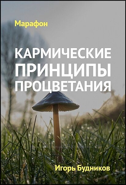 Игорь Будников - Марафон Кармические принципы Процветания