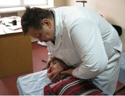 Миофасциальный уровень остеопатии Сыромятников