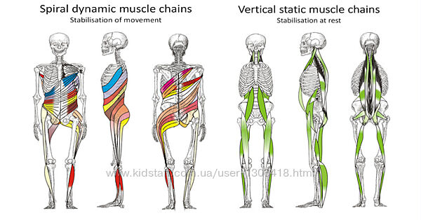 Спиральная стабилизация тела. Рихард Смишек