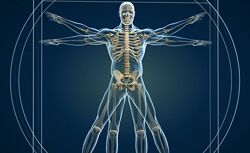 Курс Прикладная кинезиология 2020 Игорь Бондаренко, Сергей Пилявский