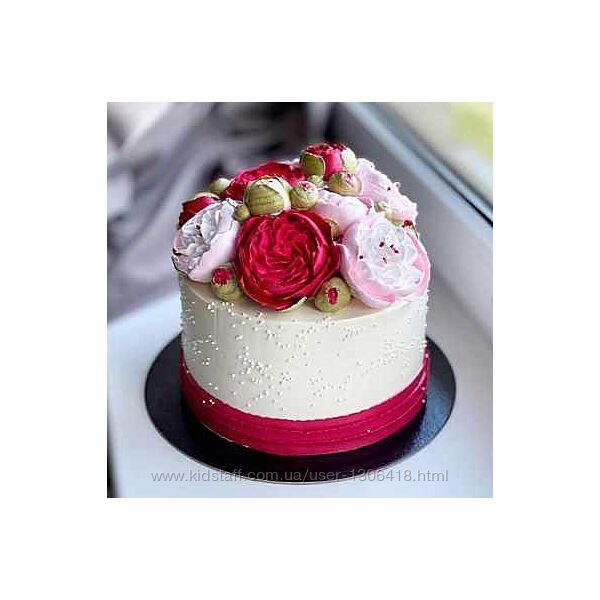 Лето с Еленой Поповой Тариф Все вместе Елена Попова elenapo11