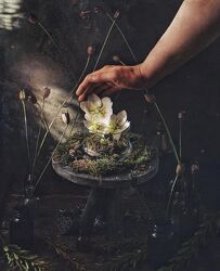 Курс по съемке со вспышкой и созданию объемного света Зубкова