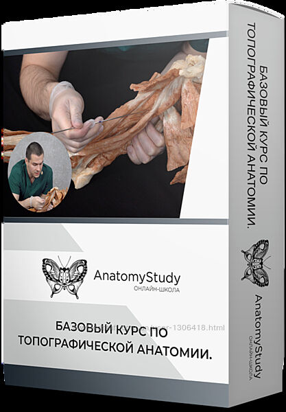 Базовый курс по топографической анатомии Сергей Скворцов