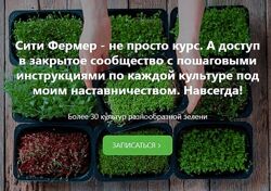 Михаил Попов Сити Фермер Свежая микрозелень у вас дома за одну