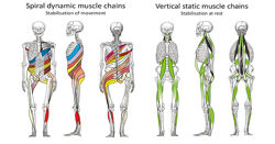 Рихард Смишек - Спиральная стабилизация тела