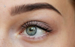 Brow Master Pro с самостоятельной отработкой Татьяна Золоташко