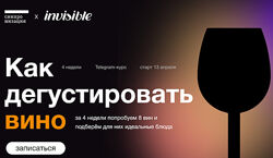 Синхронизация Как дегустировать вино Александра Старикова