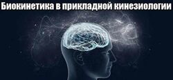 Биокинетика в прикладной кинезиологии Татьяна Ильичева