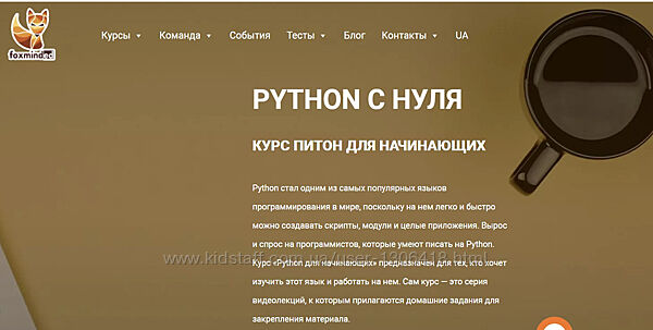Python с нуля. Курс питон для начинающих Дмитрий Береговец