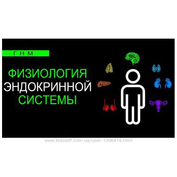 Физиология эндокринной системы. Щитовидная железа Семко