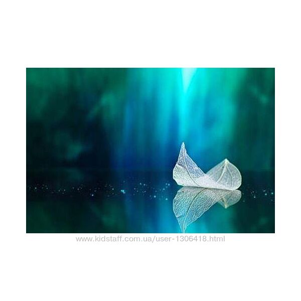 Современные расстановки и полевая терапия. Базовый курс Веселаго 2022