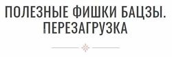 Полезные фишки бацзы перезагрузка Инна Волкова