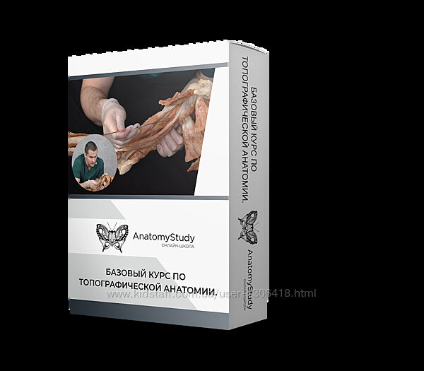 Сергей Скворцов Базовый курс по топографической анатомии