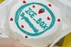 Проект Ice box Анастасия Чекмарева, Дмитрий Чекмарев