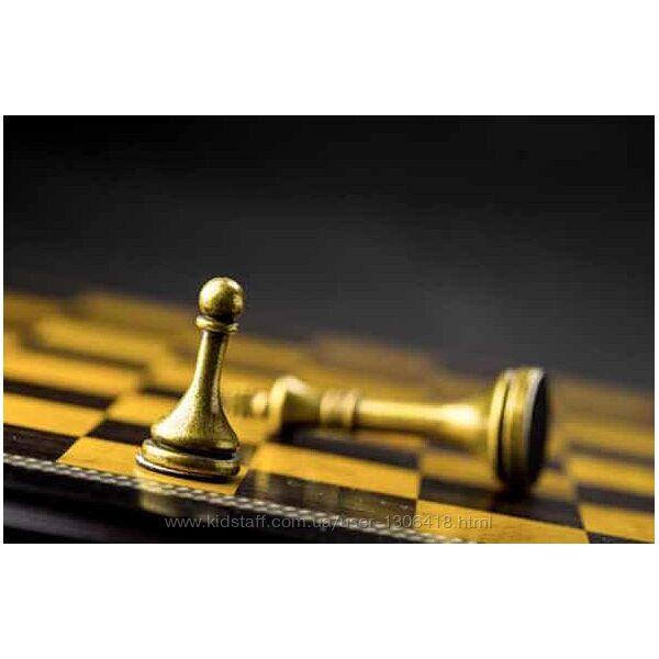 Голографический коучинг. Тариф Бронза Зина Йенсен-Маар