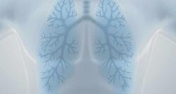 Олег Дегтярёв 9 разных цигун Дыхание жизни