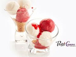 Полный курс по мороженому и сорбетам Мария Селянина