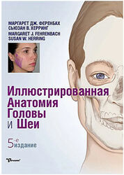 Иллюстрированная анатомия головы и шеи. 5-е издание Susan Herring, Margare