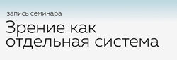 Зрение как отдельная система Григорий Крутов, Кирилл Копыльцов