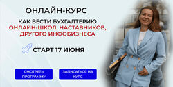 Бухгалтер инфобизнеса. Как вести бухгалтерию онлайн-школ Краснова
