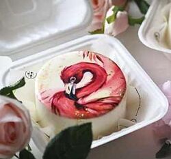 Бенто-торты Таня Силаева