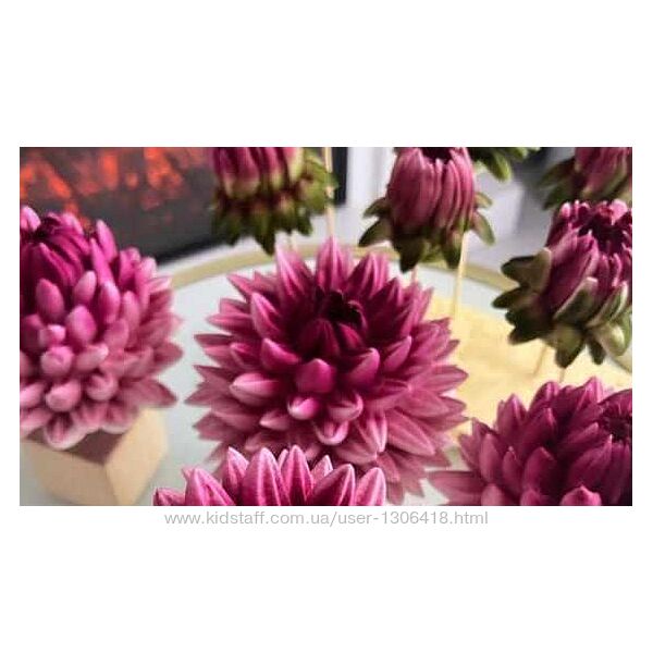 buket zefira rnd Георгины из зефира Анна Иванова