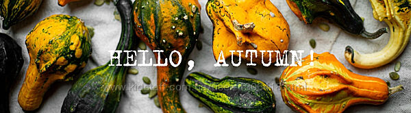 Ты поела Hello, autumn Олеся Куприн