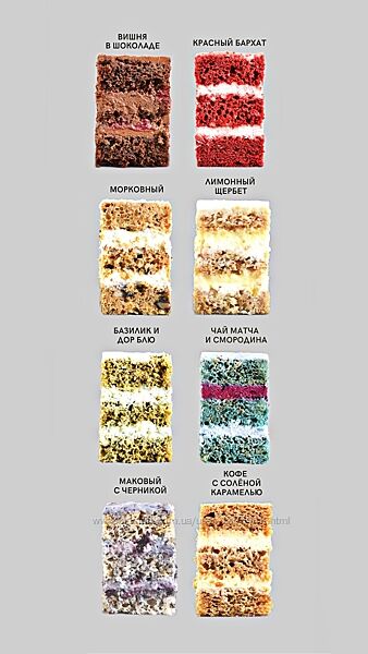 Сборник бисквитов и начинок damaster cake