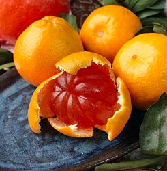 Новогодний марафон 2024 Ольга Демидова