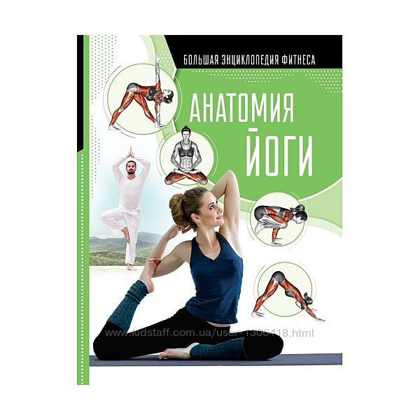 Анатомия йоги Елена Хомич, Наталья Степук