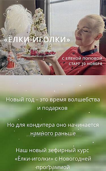 Зефирный курс Елки-иголки с Новогодней программой Елена Попова