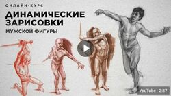 Динамические зарисовки. Мужская фигура Ольга Гужбина