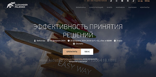 Эффективность принятия решений Александр Палиенко