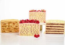 180 молочных девочек Екатерина Ольховская